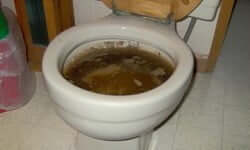 UNCLOG TOILET WITHOUT PLUNGER - DRAINING AND PLUMBING COMPANY IN TORONTO